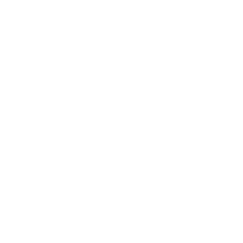 Daan Willems Automotive